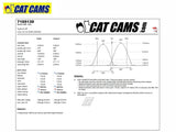 Cat Cams Stage 4 Camshafts - Tarmac Rally - 4A-GE 16V