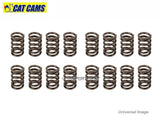 Cat Cams Uprated Valve Springs - 4AGE 16v